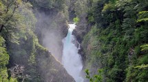 Imagen de El salto mágico que une Chile con Argentina: cómo llegar a la Cascada Chachín