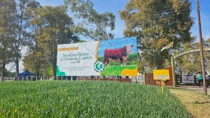 «La Palermo de la Patagonia» cumple 63 años y lo celebra pensando en cómo mejorar un poco más
