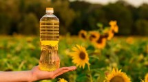 Imagen de Adiós al aceite de girasol: la nueva opción que lo reemplaza en la cocina y tiene miles de beneficios 