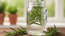 Imagen de Agua de romero para el pelo: por qué recomiendan usarlo y para qué sirve 