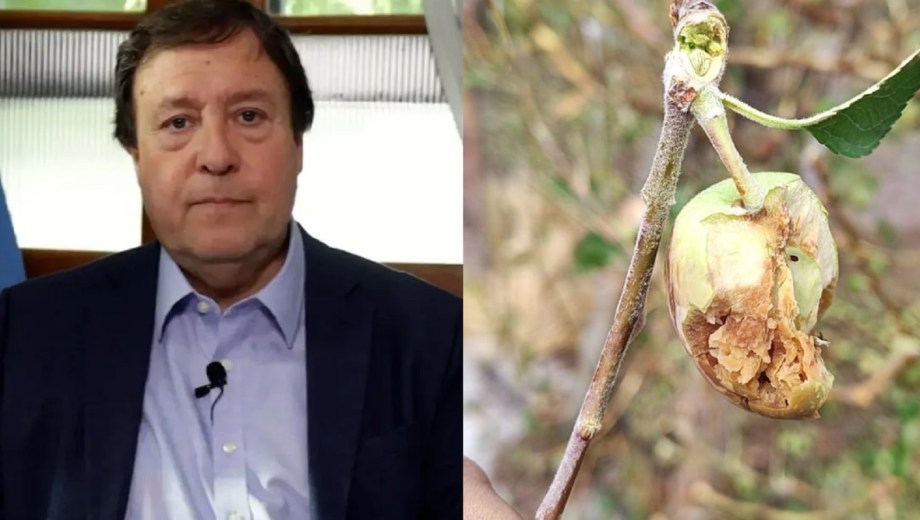 Alberto Weretilneck acompaña a los productores en medio del temporal de lluvia.