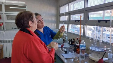 La Anmat alertó sobre la prohibición de varios productos: “No hacer uso de los lotes”