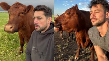 Es furor en redes por proteger a sus vacas de la tormenta dentro de su casa: ¿quién es “La Joya Agro”?