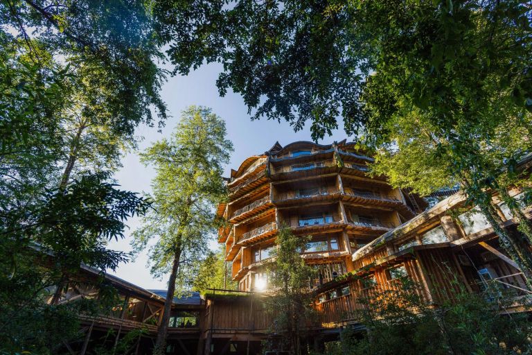 Un corredor biol&oacute;gico revive al huemul y transforma la Patagonia en un santuario binacional