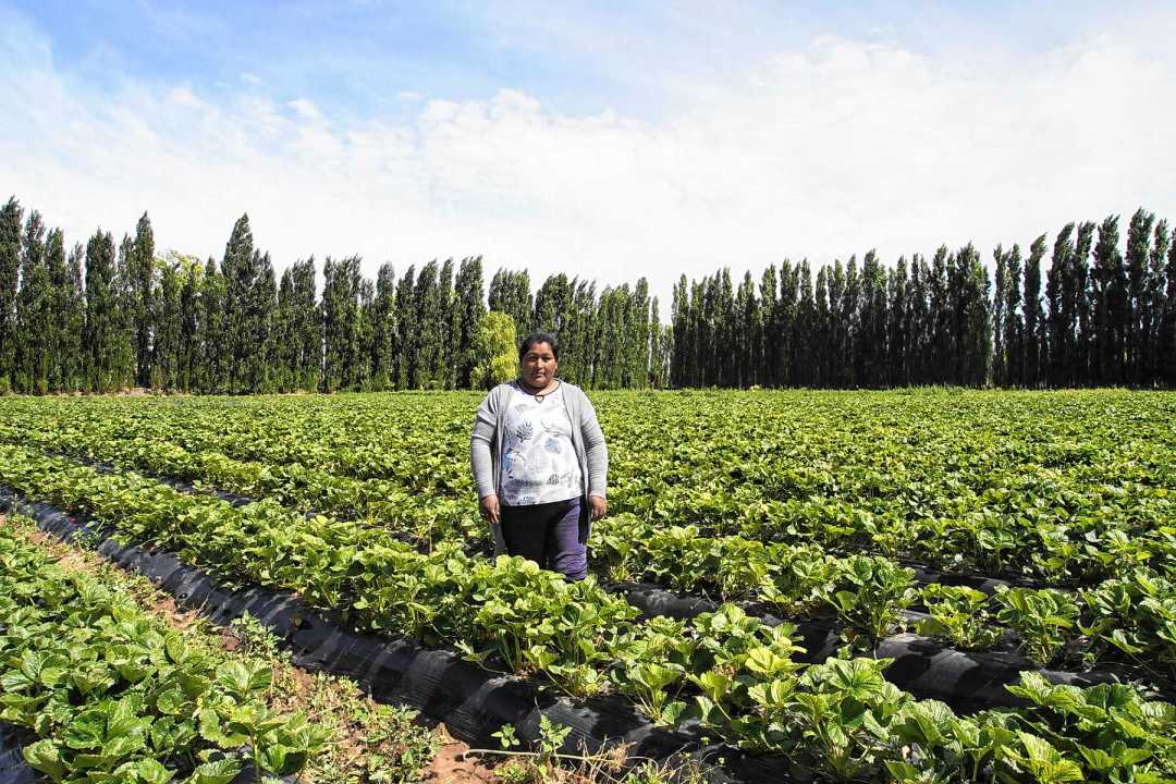 Aurora Cori: "Yo, gracias a Dios, puedo sustentar a mi familia económicamente, mi hija está estudiando. Trabajando todo se puede lograr". Foto: Cecilia Maletti.