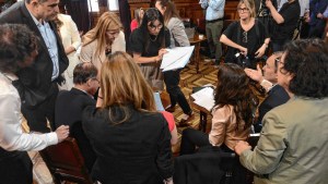 La Comisión de Asuntos Constitucionales aprobó por mayoría un dictamen en contra de la asunción de Lorena Villaverde