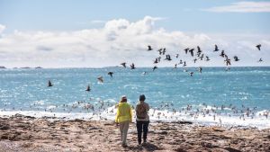 Refugios de Mar: casas mínimas y un paisaje infinito en la costa más azul de la Patagonia