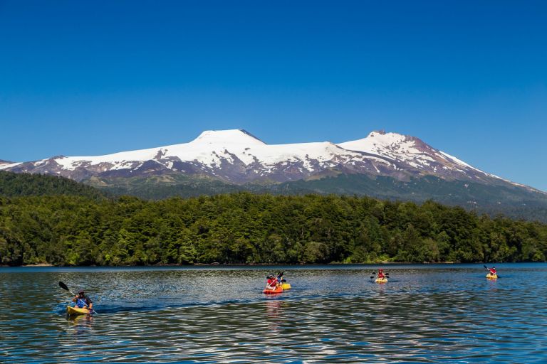 Un corredor biol&oacute;gico revive al huemul y transforma la Patagonia en un santuario binacional