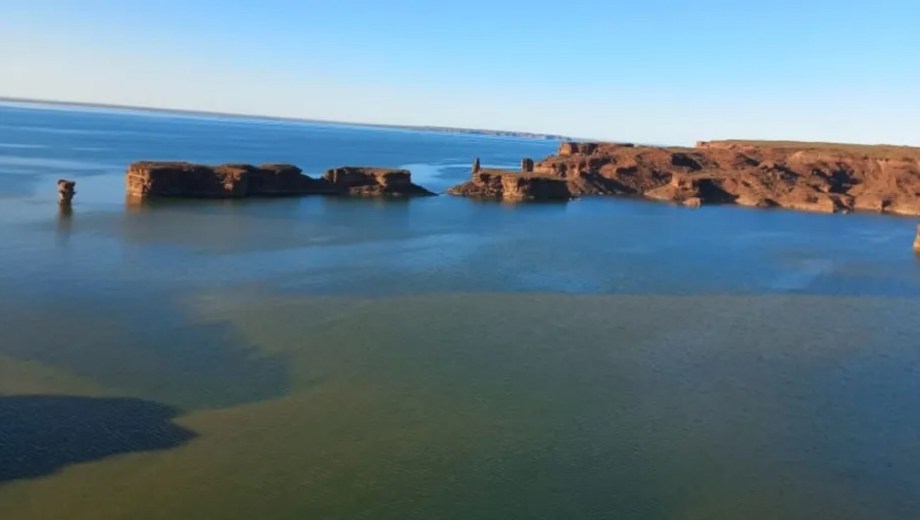 Las cianobacterias se identifican a simple vista.