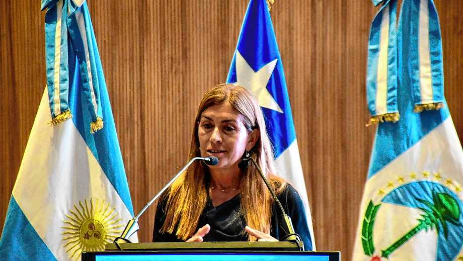 Latam vuelve a volar a Neuquén. Foto: Matías Subat. 