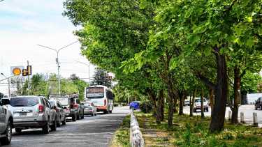 Fotomultas: Plottier afina su propio sistema para captar infracciones en 15 esquinas de la ciudad