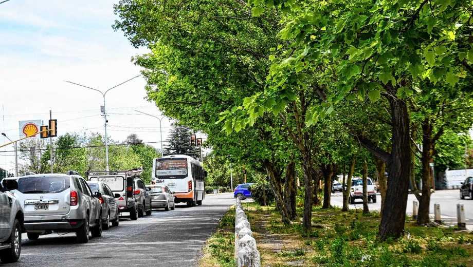 Plottier estrena su propio sistema de fotomultas. Foto: archivo Matías Subat. 