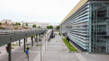 Intentó abusar de una vecina en Neuquén: quedó imputado y le dictaron 15 días de prisión preventiva