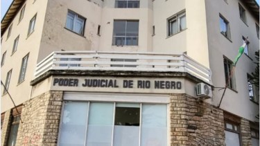 Amenaza de bomba en el Poder Judicial de Bariloche: 26 plantas de cannabis secuestradas en tres allanamientos