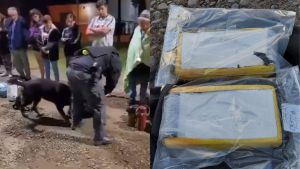 Cayó con dos kilos de cocaína en Río Colorado y el caso llegó a juicio en Roca: qué dijeron en los alegatos