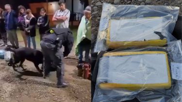 Cayó con dos kilos de cocaína en Río Colorado y el caso llegó a juicio en Roca: qué dijeron en los alegatos