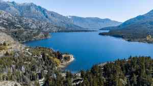 Parques nacionales Nahuel Huapi y Lanín: cuándo y dónde se subastan los turnos de caza para la temporada 2026