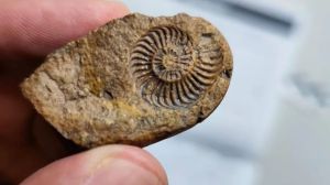 El precio de llevarse un pedacito de historia: lo que parece un simple recuerdo de viaje puede ser un delito arqueológico