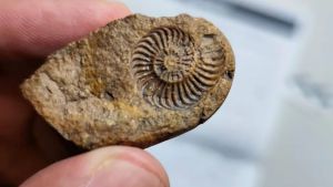 El precio de llevarse un pedacito de historia: lo que parece un simple recuerdo de viaje puede ser un delito arqueológico