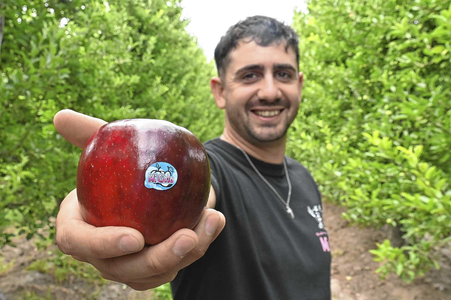 La fuerte apuesta de un productor de Villa Regina por la manzana y el mercado interno, una estrategia que da buenos frutos