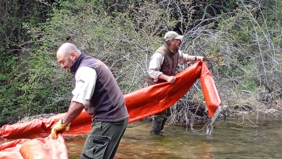 El Parque Nacional Nahuel Huapi desarrolló tareas de remediación el arroyo Guillelmo. (Gentileza).