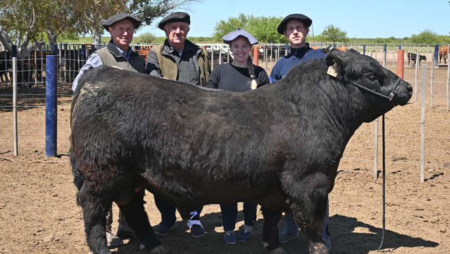 Los Giretti y el toro emblema de la cabaña patagónica. Foto: Florencia Salto.