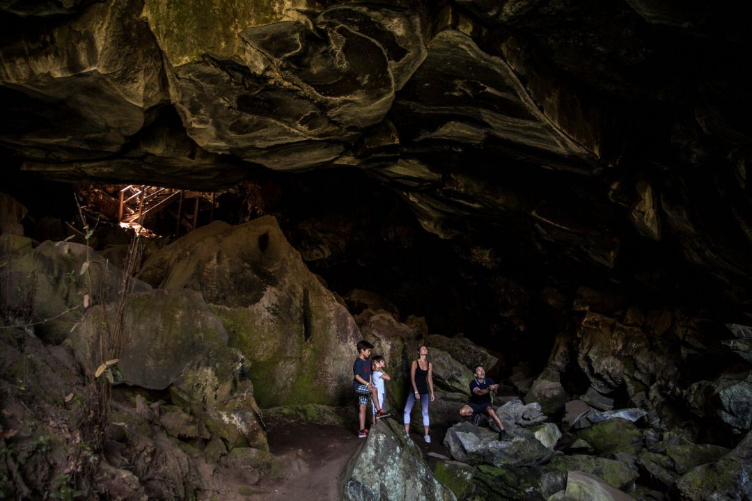 Un corredor biol&oacute;gico revive al huemul y transforma la Patagonia en un santuario binacional