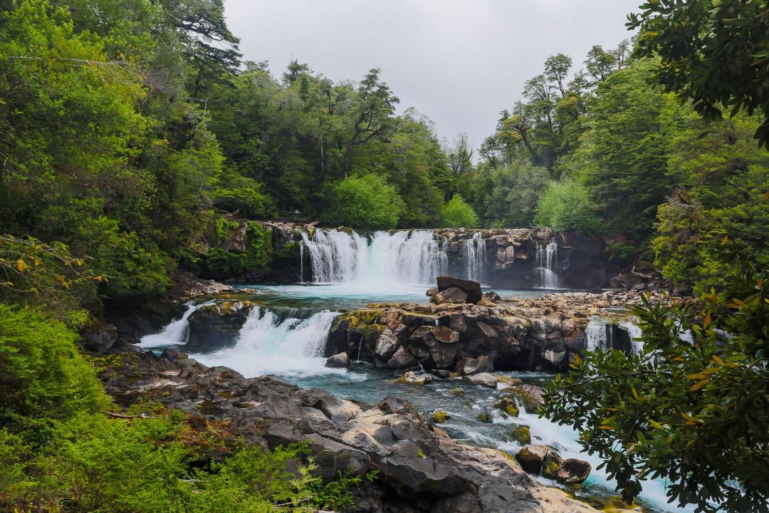 Un corredor biol&oacute;gico revive al huemul y transforma la Patagonia en un santuario binacional