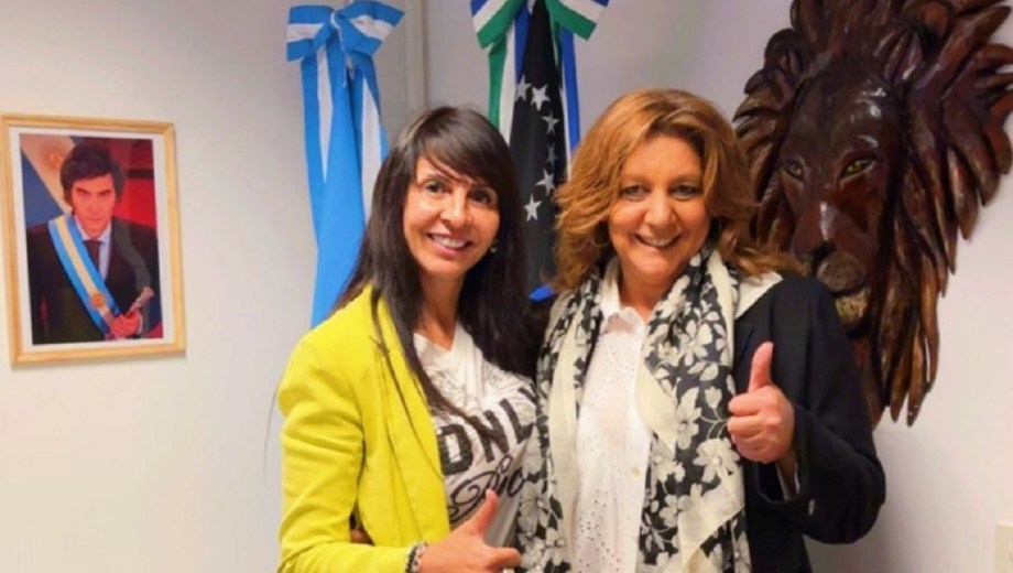 Lorena Villaverde presentó a Natalia Chemor como su reemplazo en Diputados a partir del 10 de diciembre. Foto: Gentileza