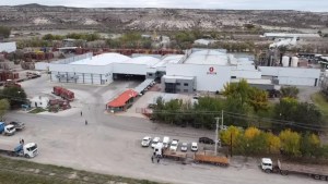 Jugos: la empresa de Villa Regina que transforma millones de kilos de fruta y cumple 50 años de historia