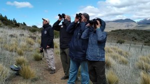 Donde vuelan los gigantes: así se vivió el último  censo de cóndores en Neuquén