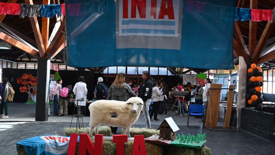 “Puertas Abiertas: de la ciencia a los colegios primarios” es la propuesta del INTA Bariloche. Foto: Chino Leiva