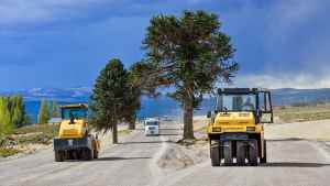 Ruta 23: Avanza la obra que esquiva a las araucarias para protegerlas