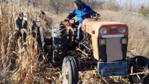 Donde la tierra vuelve a producir: los avances agroecológicos del año en Contralmirante Cordero
