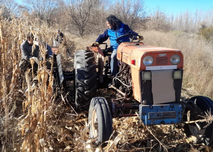 Donde la tierra vuelve a producir: los avances agroecológicos del año en Contralmirante Cordero