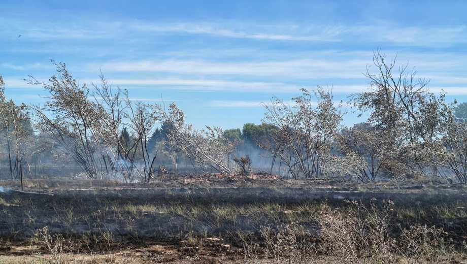 El viento no colaboró con la extinción de las llamas. (Foto: Alejandro Carnevale.)