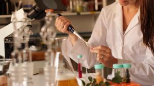 Cae el consumo de cerveza en el mundo: investigadores de Bariloche capacitan en la elaboración de cerveza sin alcohol