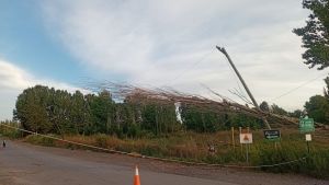 Masivo apagón en Allen y Balsa Las Perlas este sábado: el viento arrojó árboles sobre las líneas troncales