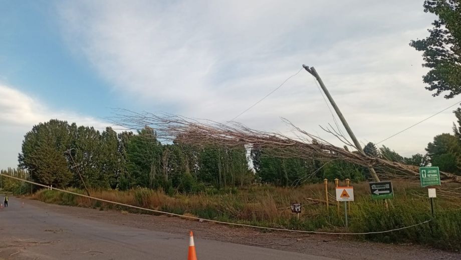 Foto: Gentileza Edersa. 