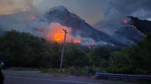 Imagen de El incendio forestal en Epuyén se encuentra contenido: la Justicia investiga cómo se originó