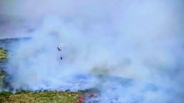 Incendios forestales en el norte de Neuquén: piden refuerzos para combatir el fuego