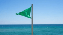 Imagen de La bandera verde debutará en una playa de la Patagonia: qué significará esta indicación que por primera vez se usará en Argentina