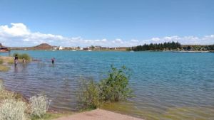 Alerta en Neuquén: detectan cianobacterias en El Chocón y recomiendan extremar precauciones en la zona