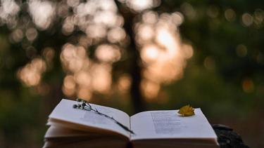 Literatura y naturaleza, entre la armonía, la obsesión y la amenaza