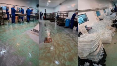 Fentanilo contaminado: extrabajadoras revelan que «no había control ni supervisión real» en el laboratorio