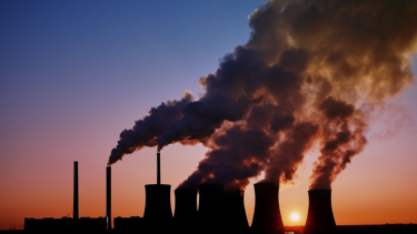 Argentina en la COP30