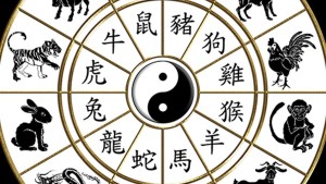 Horóscopo Chino miércoles 5 de noviembre 2025: cierre de ciclos kármicos con la Cabra de Agua