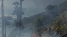 Imagen de Mapa | Los puntos con incendios en el parque Lanín por tormentas eléctricas: se combatirán con medios aéreos