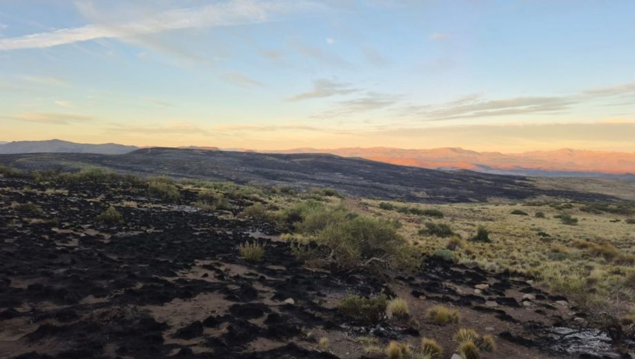 Incendios forestales en el norte neuquino. Foto: gentileza