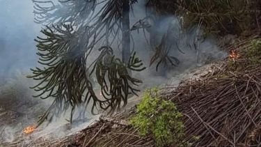 Neuquén apura el alquiler de aviones hidrantes para el verano: costarán casi $17.000 millones